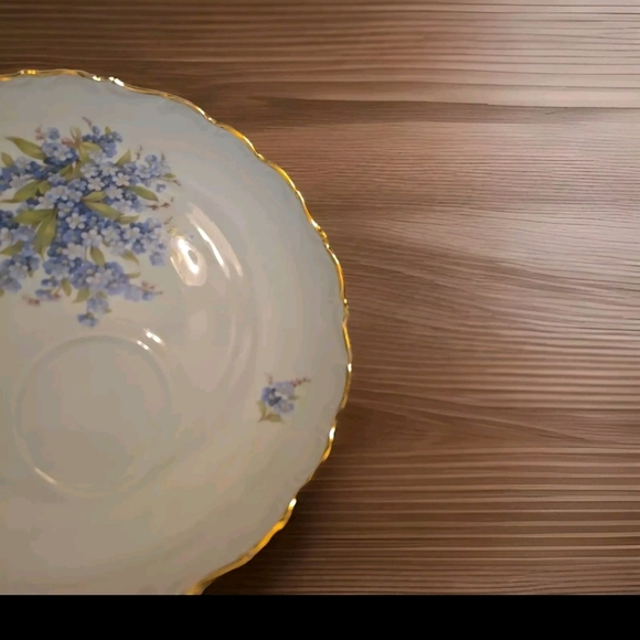 Schumann Germany Forget Me Not Snack Plate - Picture 2 of 13